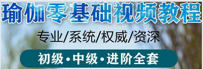 瑜伽减肥初入门教学视频全套免费下载