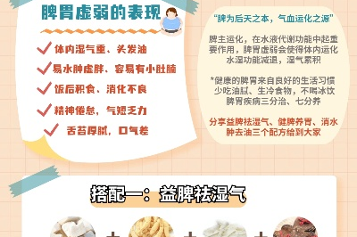 脾胃虚寒湿气重吃什么药最好