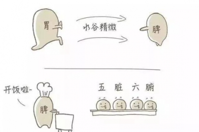 脾胃部健康，才能“吃”出美丽 